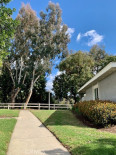 2 Bed Home to Rent in Mission Viejo, California