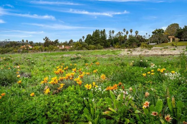  Land for Sale in Rancho Santa Fe, California