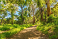  Land for Sale in Goleta, California