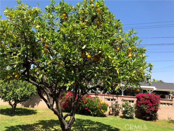 3 Bed Home to Rent in Covina, California