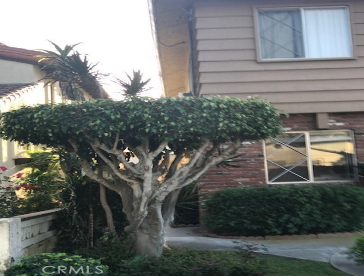 1 Bed Home to Rent in Redondo Beach, California