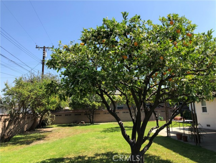 3 Bed Home to Rent in Covina, California