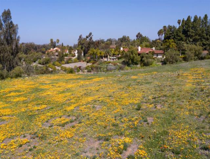  Land for Sale in Rancho Santa Fe, California