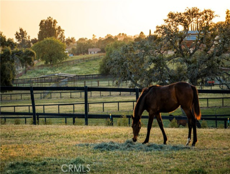  Land for Sale in Santa Ynez, California