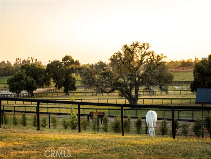  Land for Sale in Santa Ynez, California