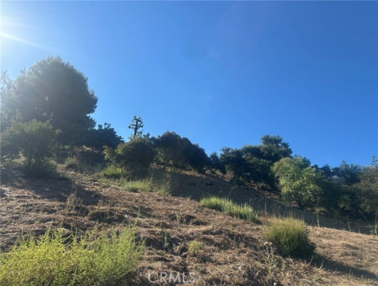  Land for Sale in Glendale, California