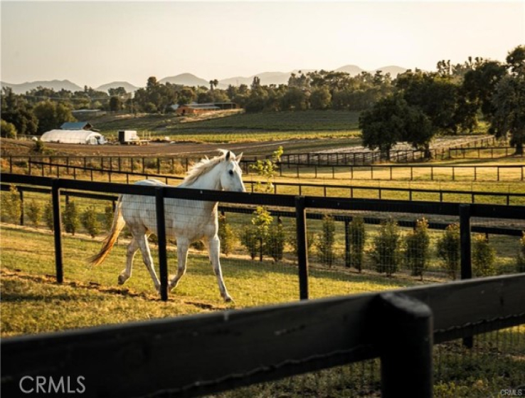  Home for Sale in Santa Ynez, California