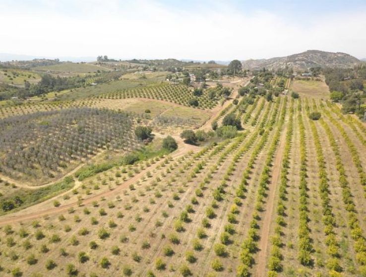  Land for Sale in Escondido, California