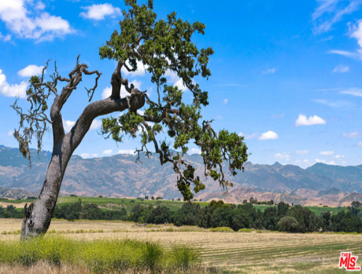 3 Bed Home for Sale in Santa Ynez, California