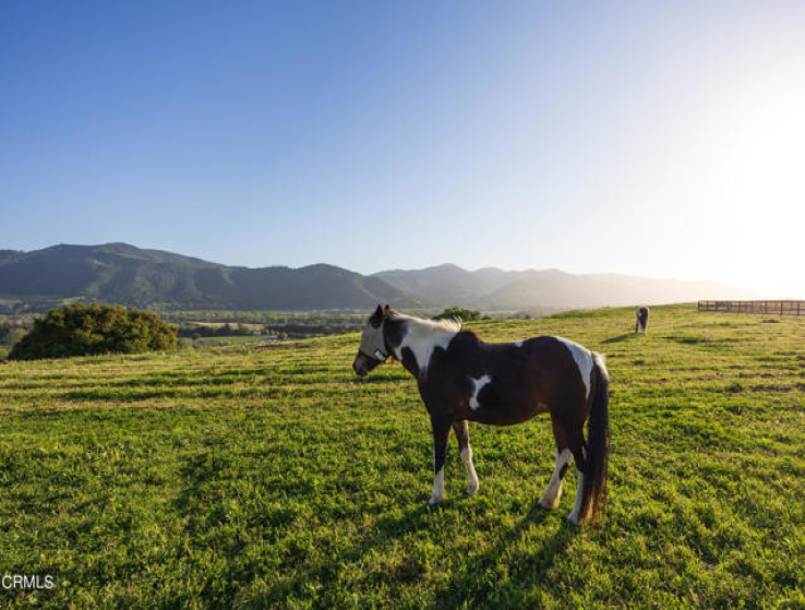 4 Bed Home for Sale in Solvang, California