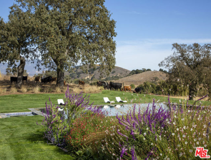 6 Bed Home for Sale in Santa Ynez, California