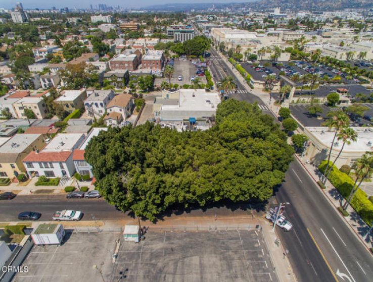  Commercial for Sale in Los Angeles, California