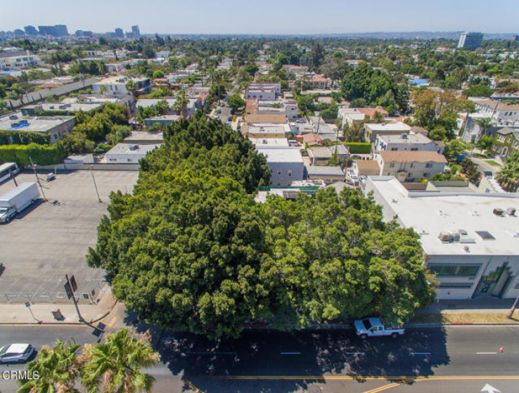  Commercial for Sale in Los Angeles, California