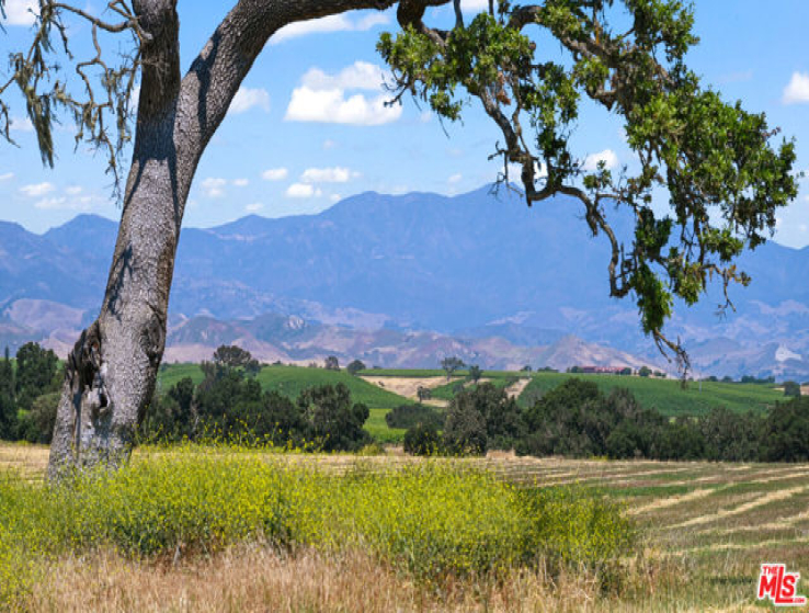 3 Bed Home for Sale in Santa Ynez, California