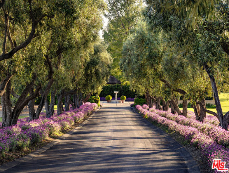 8 Bed Home for Sale in Santa Ynez, California