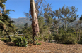 3 Bed Home to Rent in Santa Barbara, California