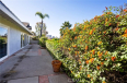 4 Bed Home to Rent in Newport Beach, California