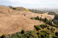  Land for Sale in San Juan Capistrano, California