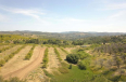  Land for Sale in Escondido, California